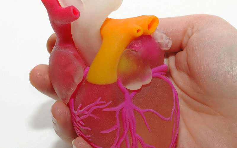 Apre all’USI di Lugano la facoltà di Scienze Biomediche: una nuova prospettiva per il Ticino